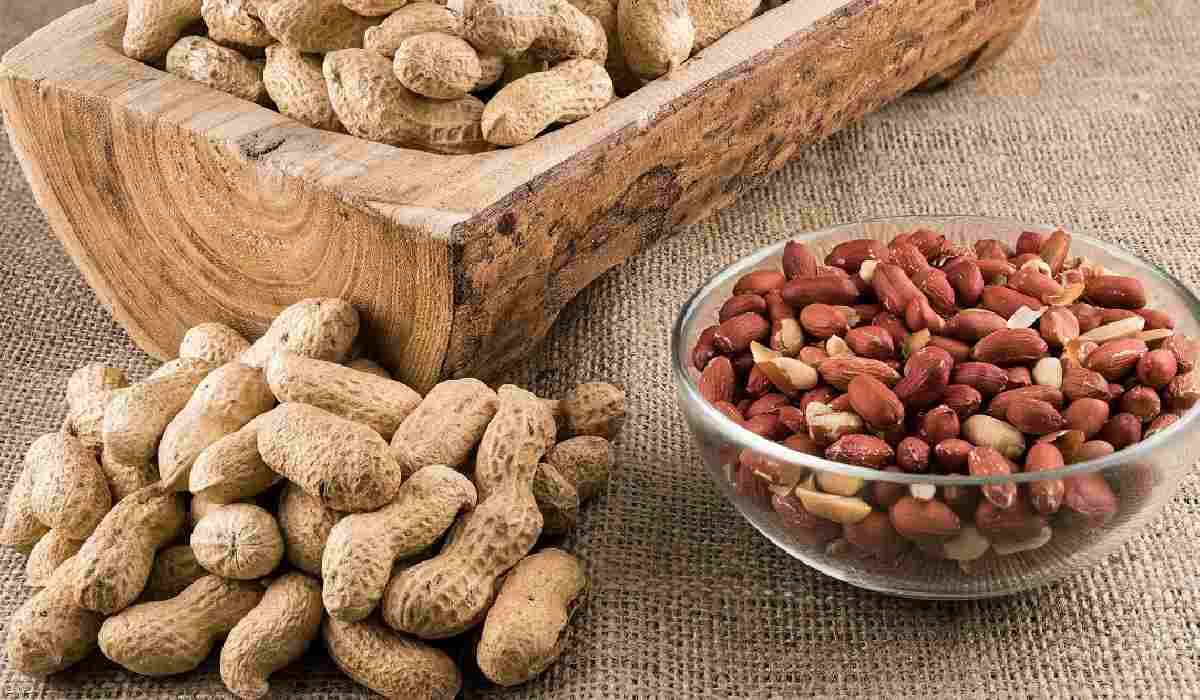 بسته بندی بادام زمینی